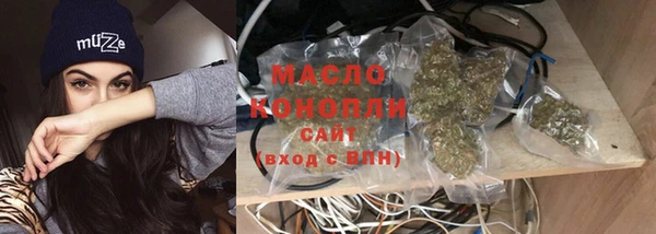 гашик Слюдянка