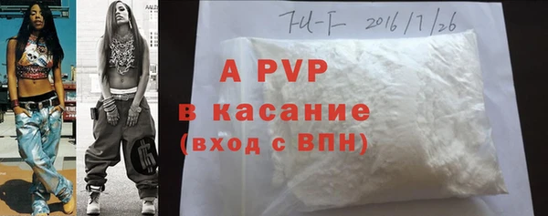 прущие грибы Сосновоборск
