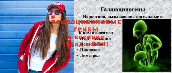 соль ск Семёнов