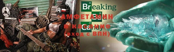прущие грибы Сосновоборск